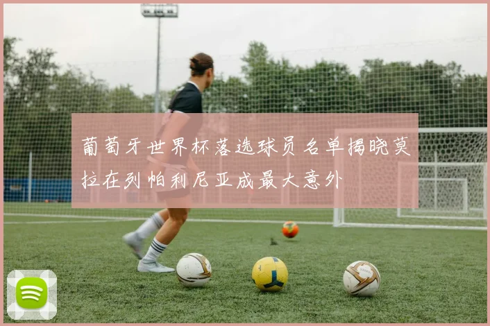 葡萄牙世界杯落选球员名单揭晓莫拉在列帕利尼亚成最大意外